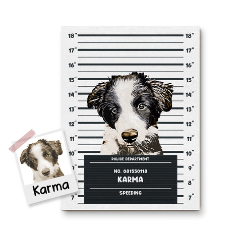 Illustrated Custom Pet Mugshots