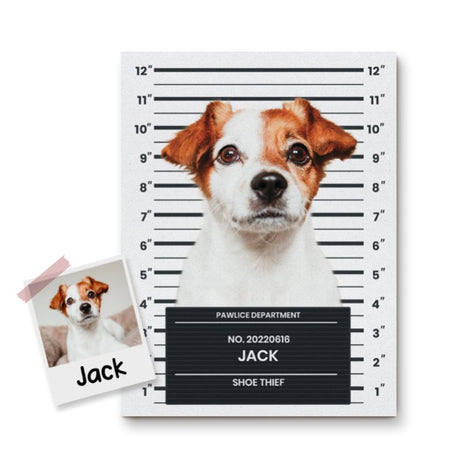 Custom Pet Mugshots