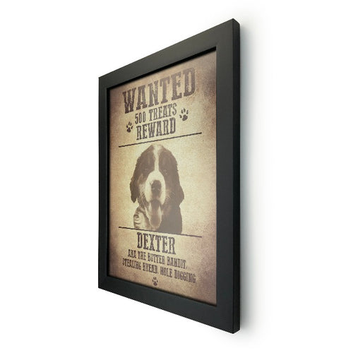 Wanted Poster - Dexter 2