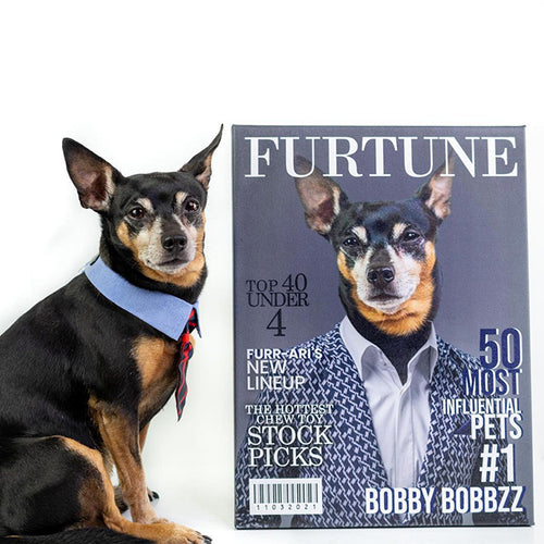 Furtune - Digital Download