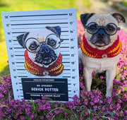 Illustrated Pet Mugshot - Digital Download
