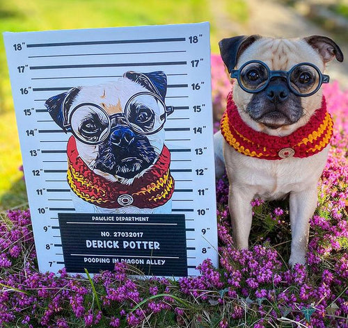 Illustrated Pet Mugshot - Digital Download