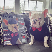 Fetch Digest - Digital Download