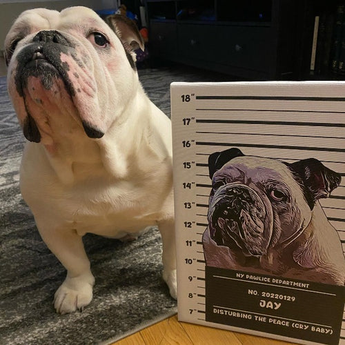 Illustrated Pet Mugshot - Digital Download