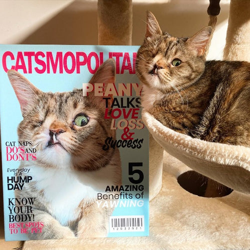 Catsmopolitan - Digital Download