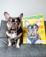 Pupsmopolitan - Digital Download