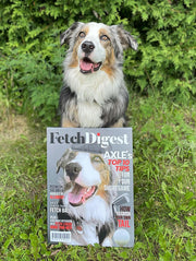 Fetch Digest - Digital Download