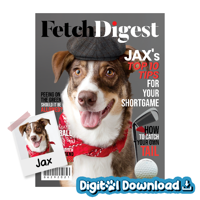 Fetch Digest - Digital Download Product Image