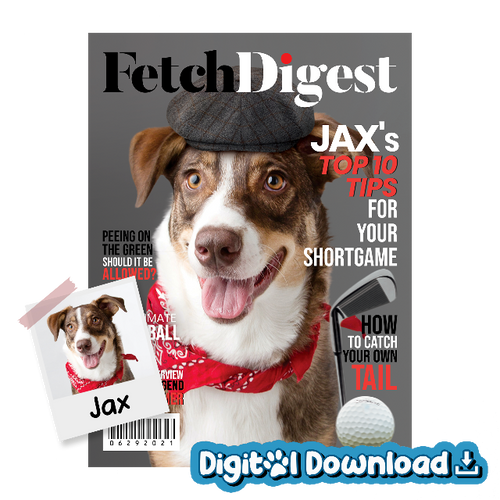 Fetch Digest - Digital Download Product Image