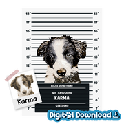 Illustrated Pet Mugshot Digital Download - Product Image