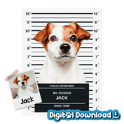 Mugshot Digital Download Product Image