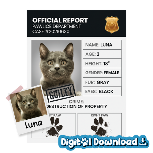 Official Report - Digital Download Product Image