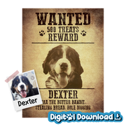 Digital Download Wanted - Product Image