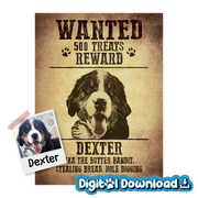 The Bandit Illustrated - Digital Download Product Image
