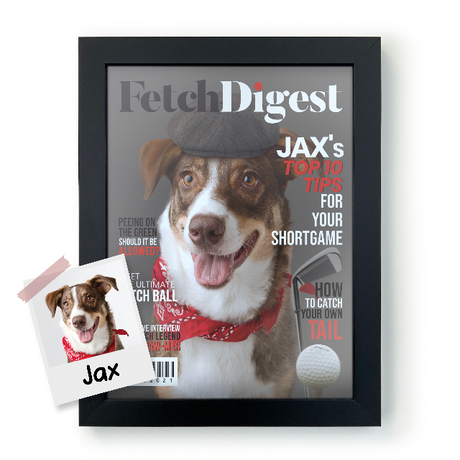 Custom Magazine Poster Fetch Digest - Product Image