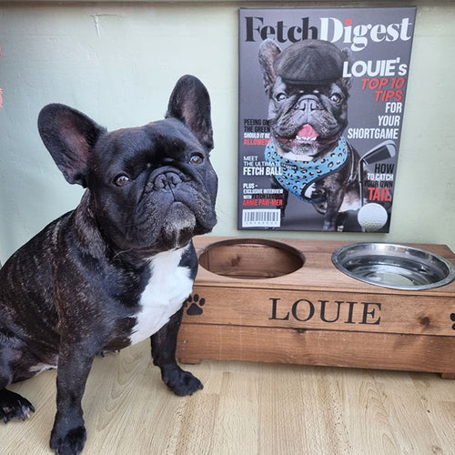 Fetch Digest - Canvas Louie