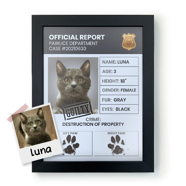 Official Report Poster - Product Image