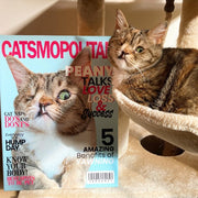 Custom Magazine Catsmopolitan - Peany