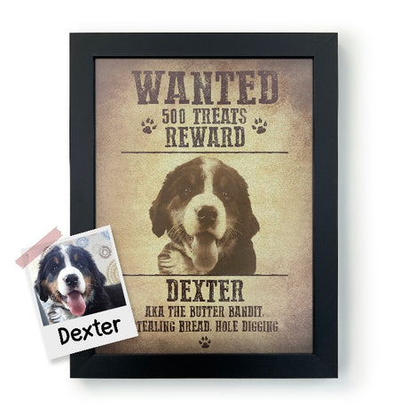 Wanted Poster Product Image - Dexter