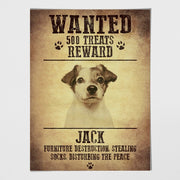 Wanted Poster Jack